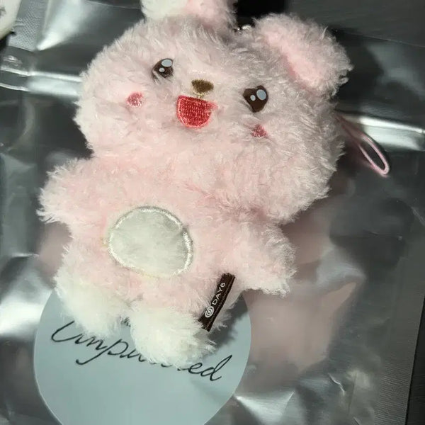 [BUNJANG] DAY6 Wonpil Unfiltered Secret Keyring / 데이식스 day6 원필 언필터드 시크릿키링 초롱필