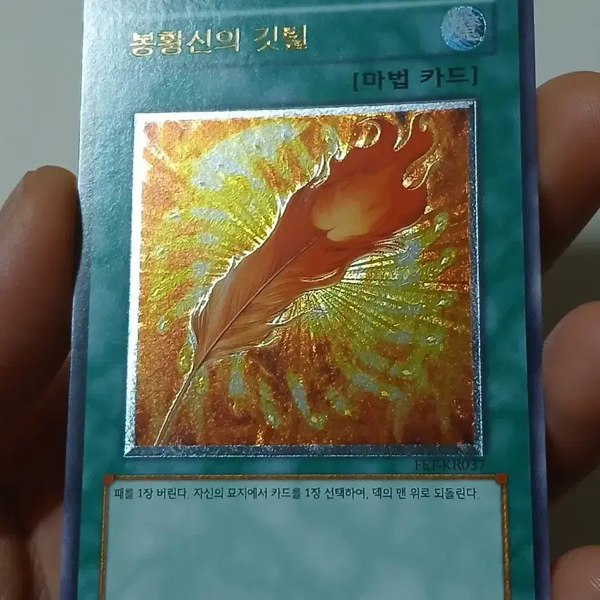 [BUNJANG] Yu-Gi-Oh! Phoenix God's Feather / 봉황신의 깃털 얼티 유희왕