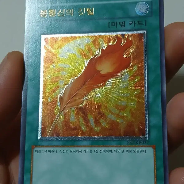 [BUNJANG] Yu-Gi-Oh! Phoenix God's Feather / 봉황신의 깃털 얼티 유희왕