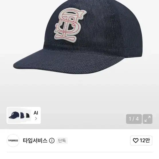 [BUNJANG] Typeservice Patched Wide Brim Cap / 타입서비스 웹 모자 Patched Wide Brim Cap 새상품