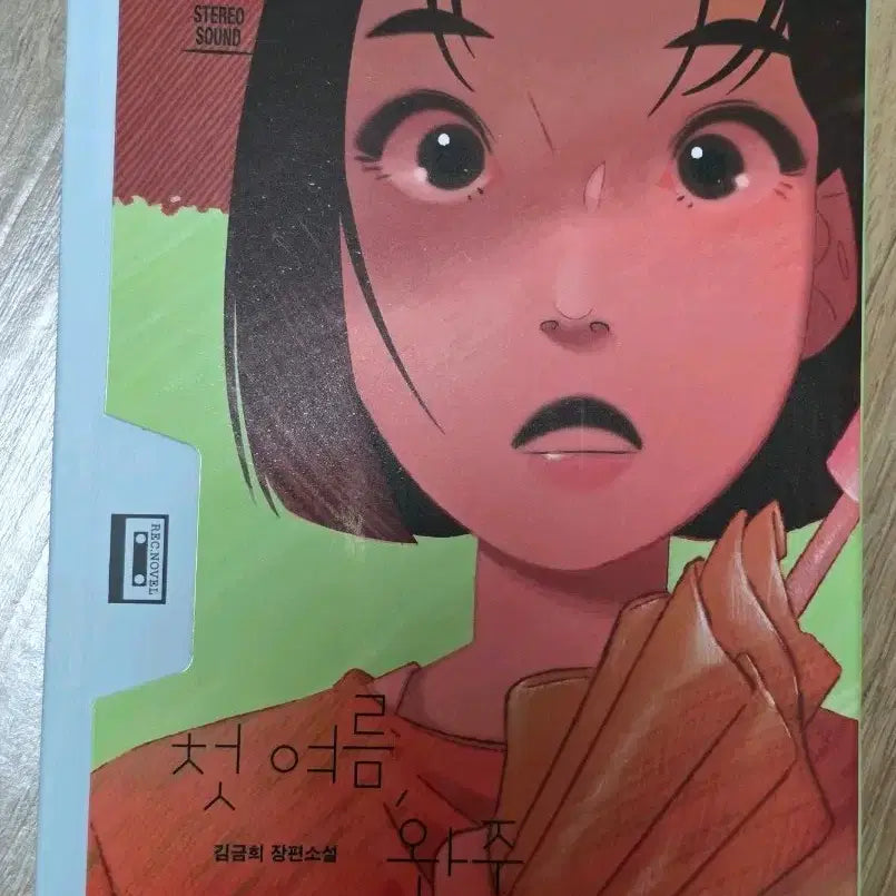 [BUNJANG] First Summer, Wanju Novel by Kim Geum-hee / 첫 여름, 완주 중고책