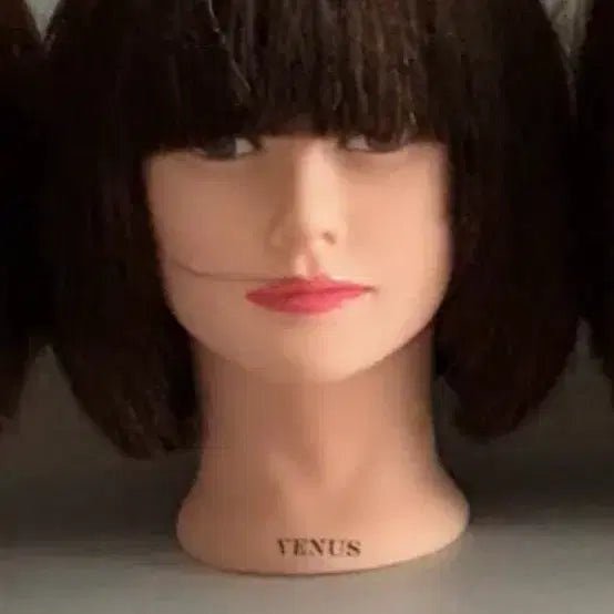 [BUNJANG] Venus Barber Wig Short Length / 비너스 커트 가발 이용사 가발