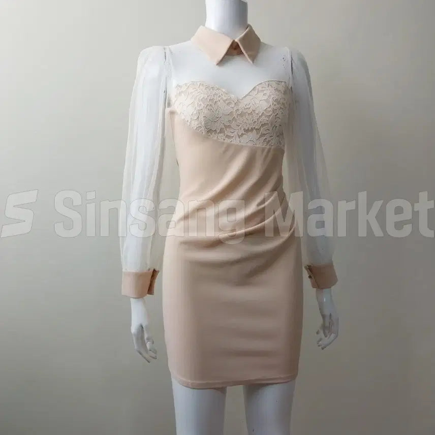 [BUNJANG] Sheer Mesh Neck Dress / [빠른발송] 카라 넥 망사 원피스