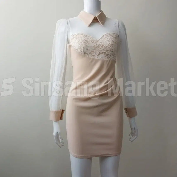 [BUNJANG] Sheer Mesh Neck Dress / [빠른발송] 카라 넥 망사 원피스