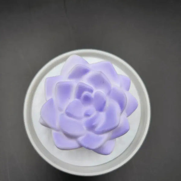 [BUNJANG] Succulent Figurine / 다육이 피규어
