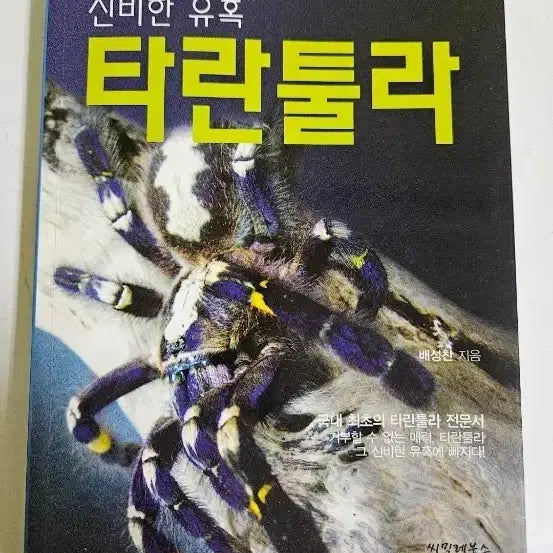 [BUNJANG] Mysterious Temptation Tarantula: The First Comprehensive Guide to Tarantulas in Korea / 신비한 유혹 타란툴라: 타란툴라 전문서