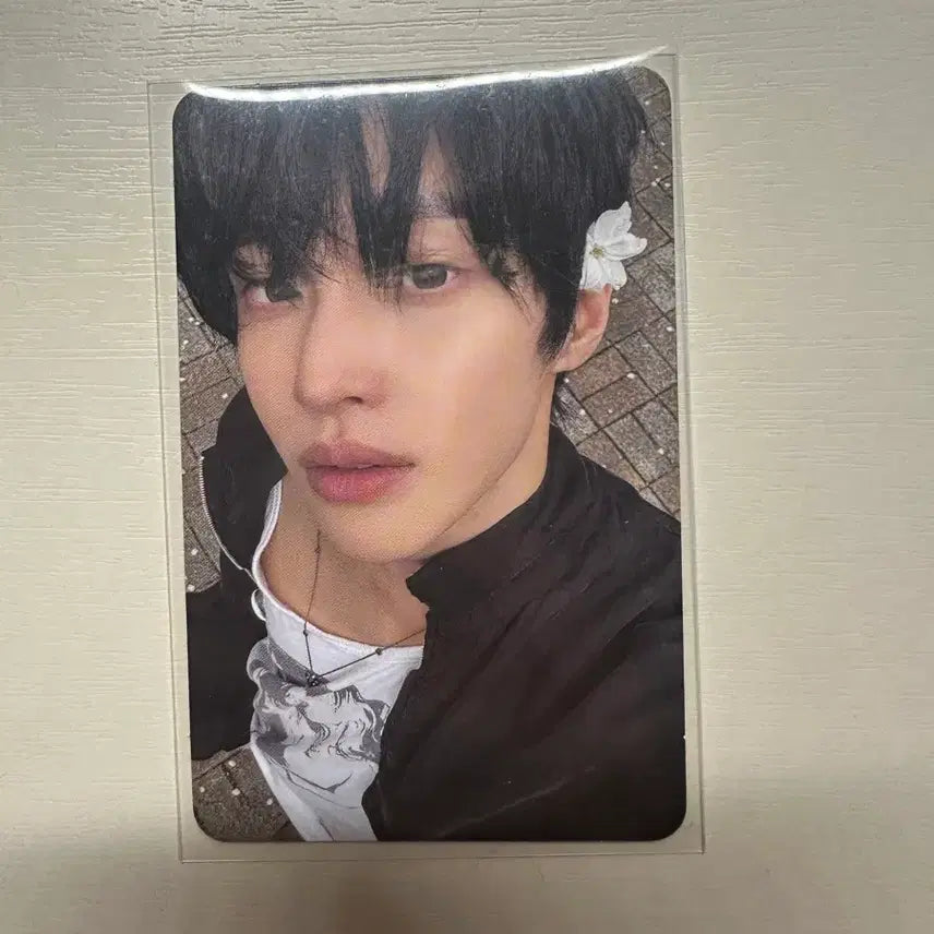 [BUNJANG] RIIZE Wonbin A Version Cherry Blossom Photocard / 라이즈 riize ll 포토북 llog 앨범 원빈 A버전 벚꽃 포카 포토카드