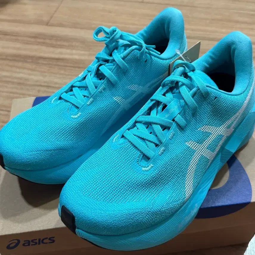[BUNJANG] ASICS NovaBlast 6 Gorpcore Running Shoes (Size 250) / [미사용 새상품] 아식스 노바블라스트6 고프리런 250