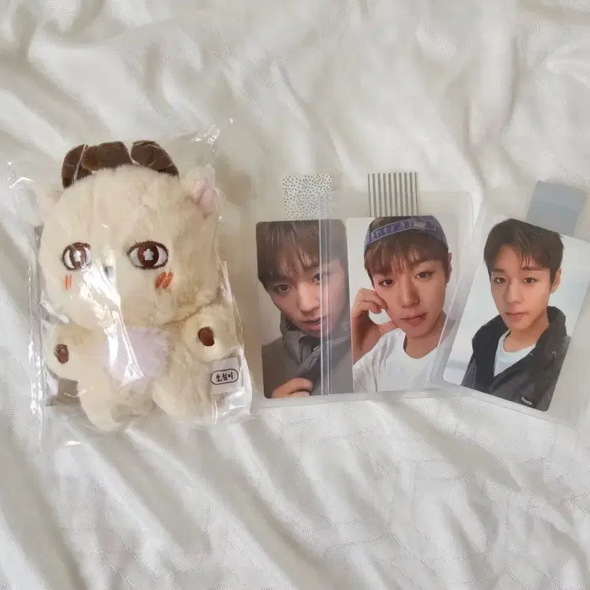 [BUNJANG] Park Jihoon 'So-sim-i' Doll Keychain Bundle Set (Sealed) + Superdry Photocard 3 Types / 미개봉) 박지훈 소심이 인형 + 슈퍼드라이 포카 3종