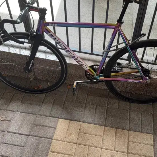 [BUNJANG] Contan Oillick M Size Carbon Handlebar Bicycle / 콘탄 오일스릭 m사이즈 무하자급