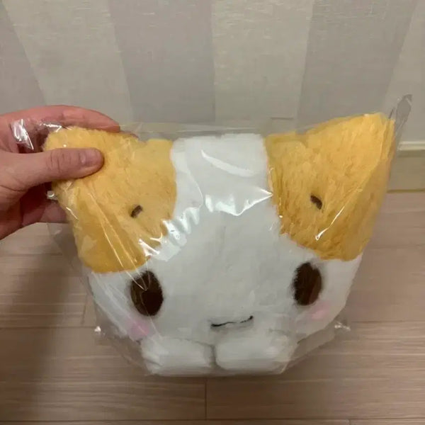 [BUNJANG] Marshmallow Cute Cat Plush Doll (M Size) / 마슈마로 귀여운 고양이 인형