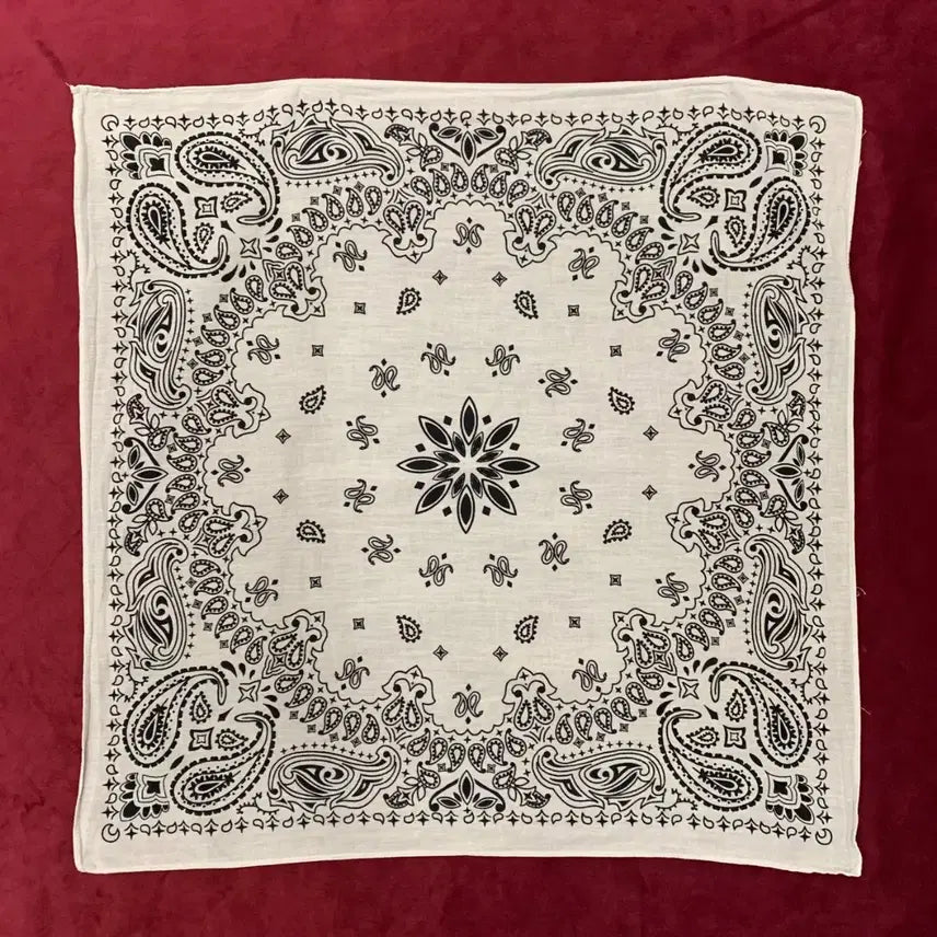 [BUNJANG] VTG Paisley Pattern Bandana / VTG 페이즐리 패턴 반다나