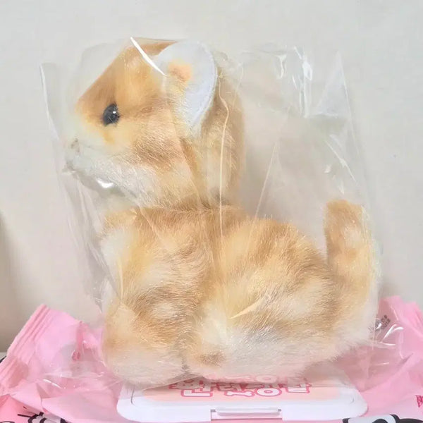 [BUNJANG] Vintage Apricot Cheese Cat Plush / 고전 빈티지 살구코 치즈냥 고양이 인형