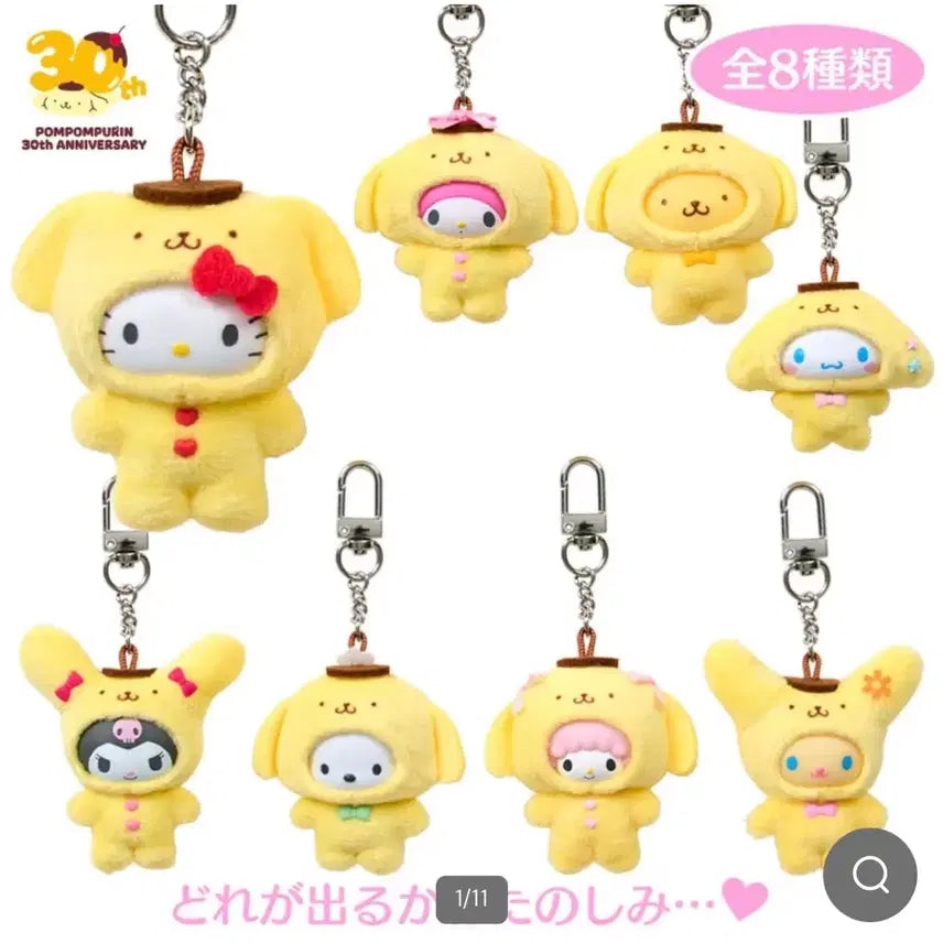 [BUNJANG] Sanrio Pompompurin Chibi Tomo Full Box / 폼폼푸린 치비토모 풀박스