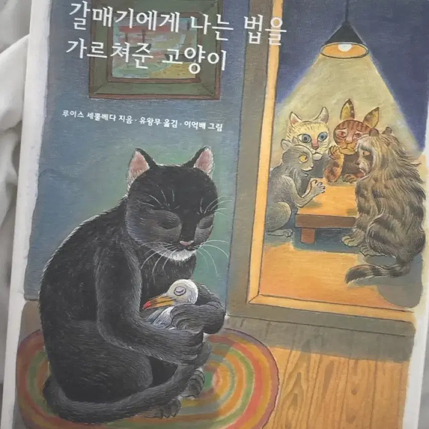 [BUNJANG] Learn to Fly Like a Seagull: A Cat's Tale / 도서 판매! <갈매기에게 나는 법을 가르쳐준 고양이> 초특가판매 생일선물로 제격 ^_^