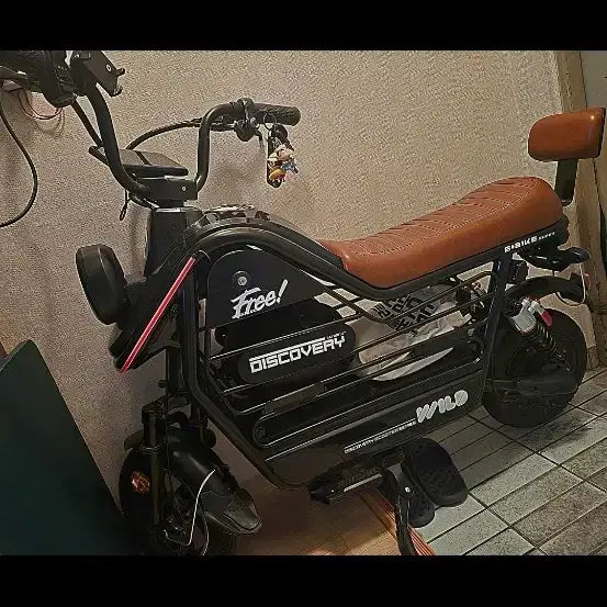 [BUNJANG] RayWing Discovery Electric Scooter / 레이윙 디스커버리  (전동 스쿠터,자토바이,전기자전거)