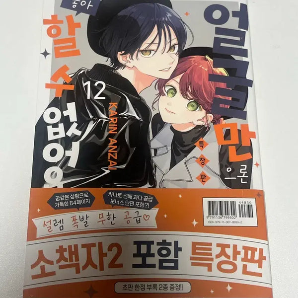 [BUNJANG] Face It, I Can't Just Like You Vol. 12 / 얼굴만으론 좋아할 수 없어요 12권
