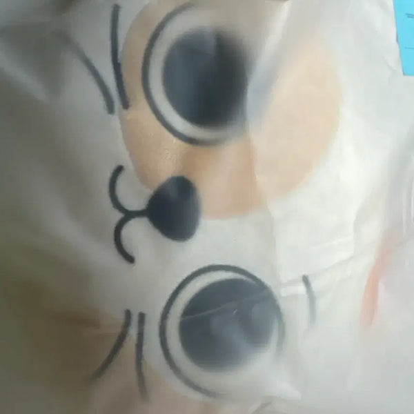 [BUNJANG] Ppreunekdo Catty Cushion / 쁘넥도 캣삐 쿠션