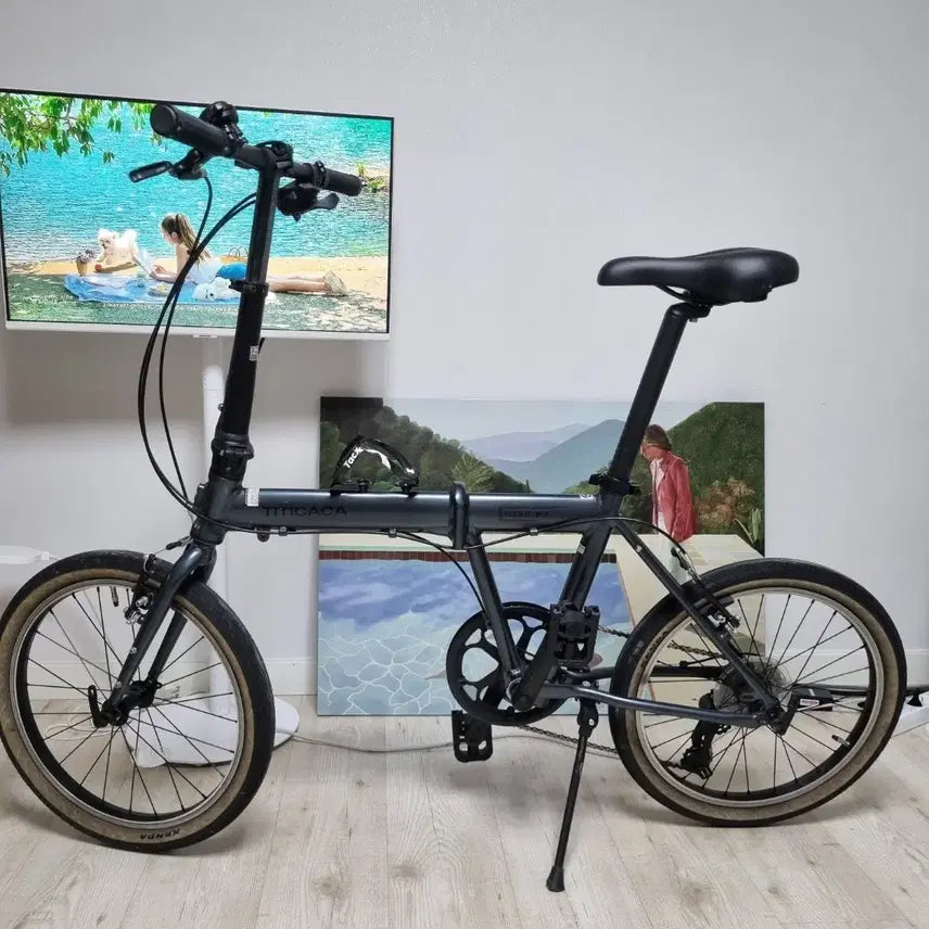 [BUNJANG] Ttitica F7 Folding Minivelo Bicycle / 바로 운행 가능한 티티카카 플라이트 F7 미니벨로 팝니다 ^^