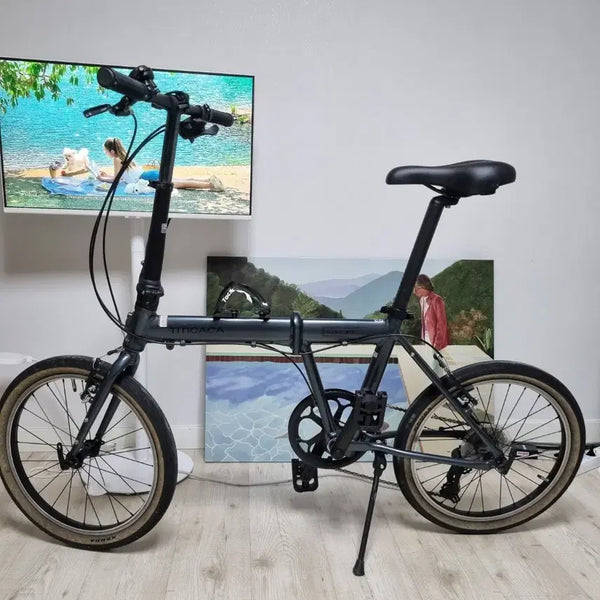 [BUNJANG] Ttitica F7 Folding Minivelo Bicycle / 바로 운행 가능한 티티카카 플라이트 F7 미니벨로 팝니다 ^^