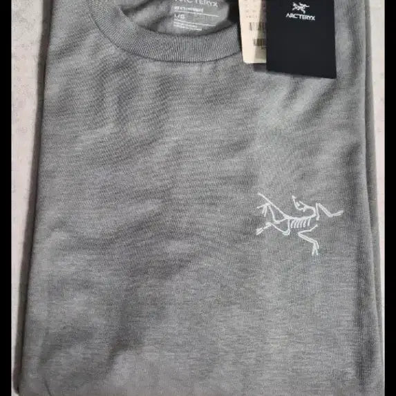 [BUNJANG] Arc'teryx Kragg T-Shirt (L) / 아크테릭스 크래그 반팔 티셔츠 그레이L