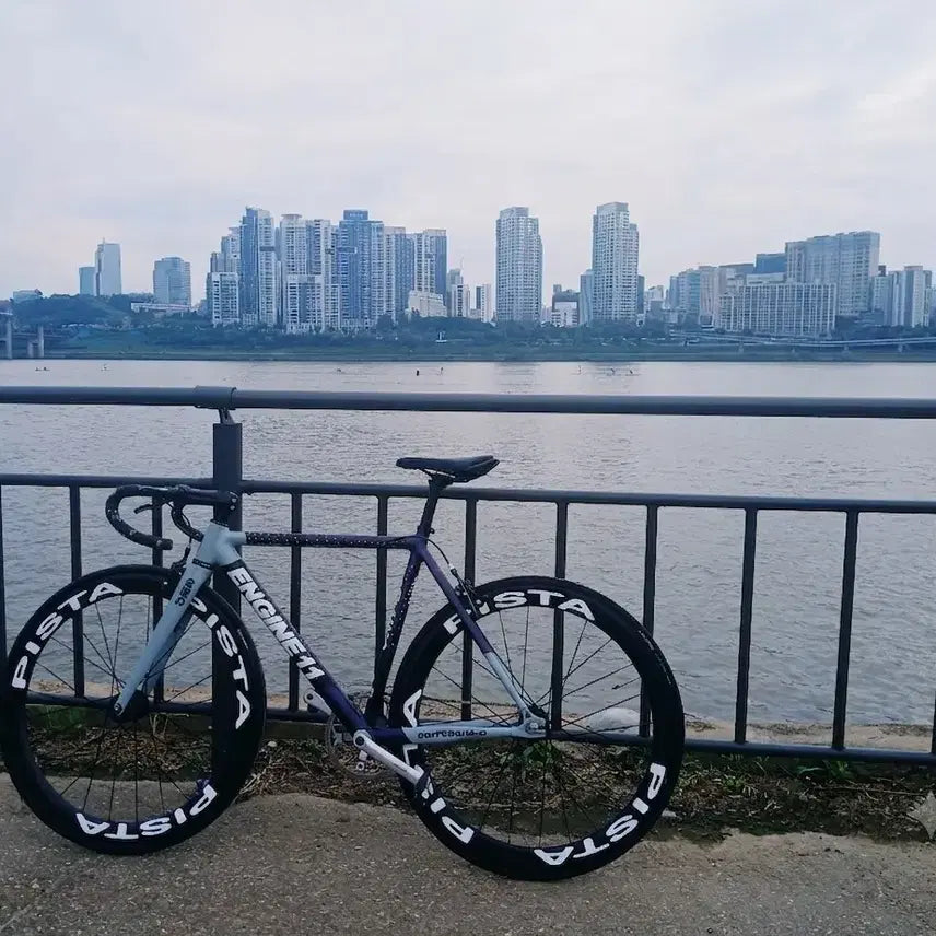 [BUNJANG] Eggplant Frame Front Brake / 에그플랜트 프레임 (개급처)