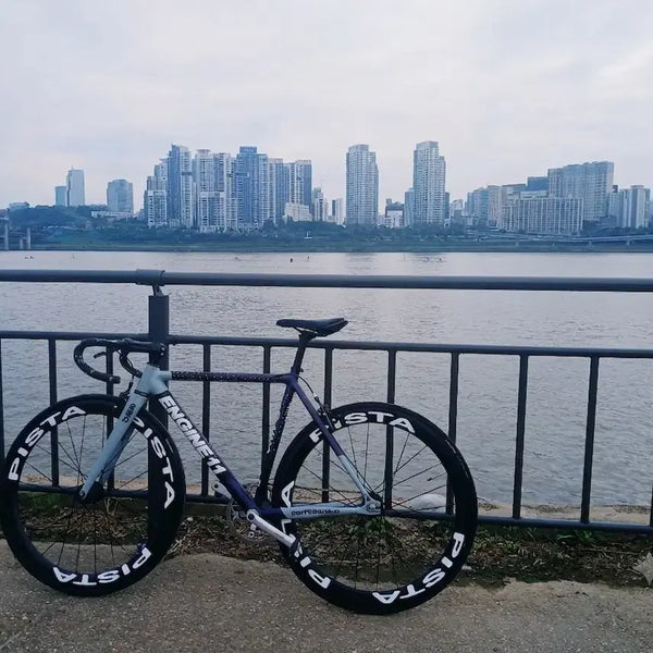[BUNJANG] Eggplant Frame Front Brake / 에그플랜트 프레임 (개급처)