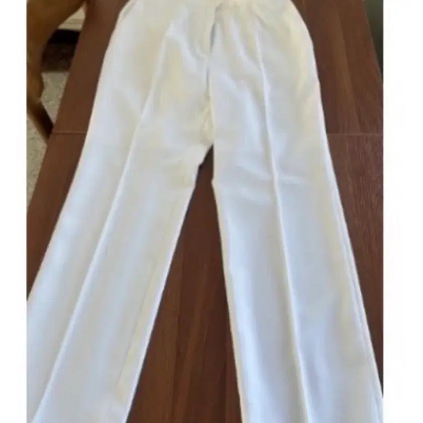 [BUNJANG] Nursing Student Scrub Pants - White / 간호 실습복 바지 간호학과