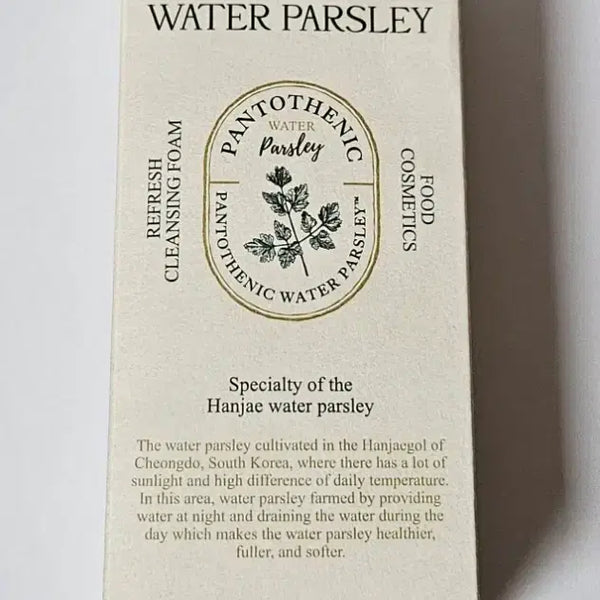 [BUNJANG] Pantothenic Water Parsley Refresh Cleansing Foam / (새상품) 판토테닉 워터 파슬리 리프레쉬 클렌징폼