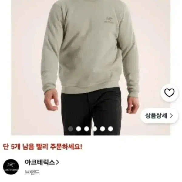 [BUNJANG] Arc'teryx Sweatshirt Grey XL / 아크테릭스 맨투맨 그레이 XL (정품)