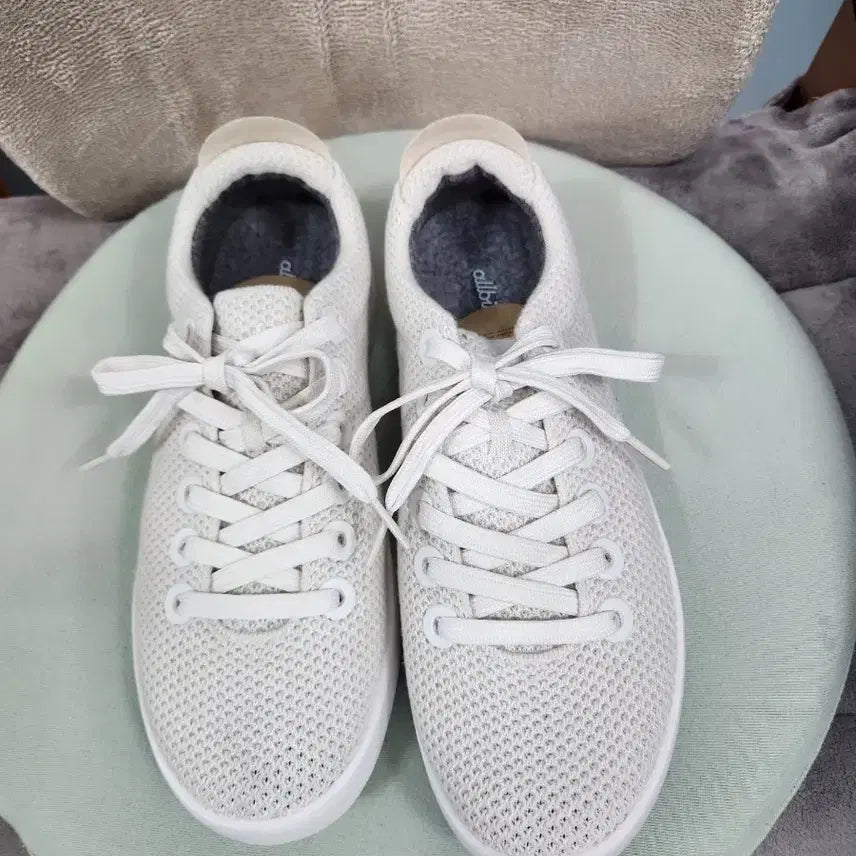 [BUNJANG] Allbirds Wool Runners White M8 (US Men's 8) / 올버즈 러너스 화이트 M8 ( 260)