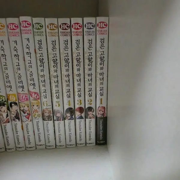 [BUNJANG] The Witch's Classroom Complete Set (First Edition) / 검은고양이와 마녀의교실 초판
