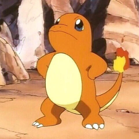 [BUNJANG] Charizard "Roar" Photo / 파이리 판매합니다.