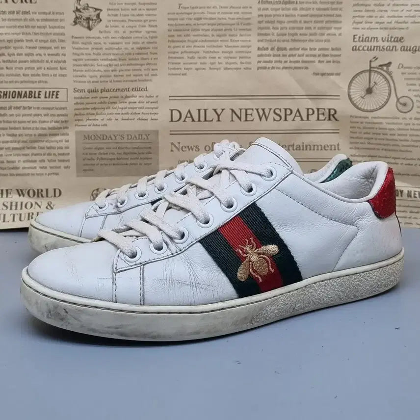 [BUNJANG] Gucci Bee Embroidery Sneakers / 정품 구찌 꿀벌 자수 스니커즈 35 220