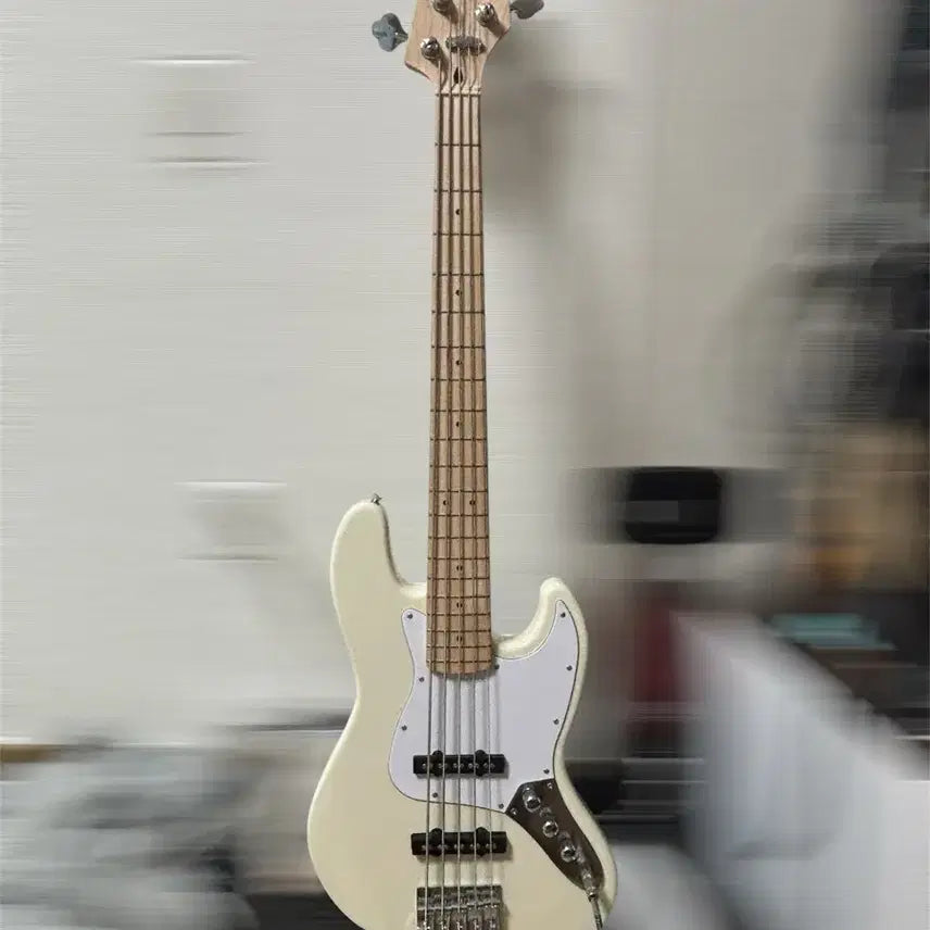 [BUNJANG] Gopherwood 5-String Bass / 고퍼우드 5현 베이스 (배송비포함)