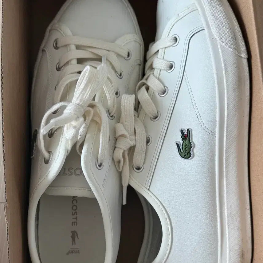[BUNJANG] Lacoste Sneakers / 라코스테 스니커즈