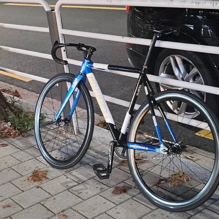 [BUNJANG] Blueskin Full Bike / 블루스킨 완차