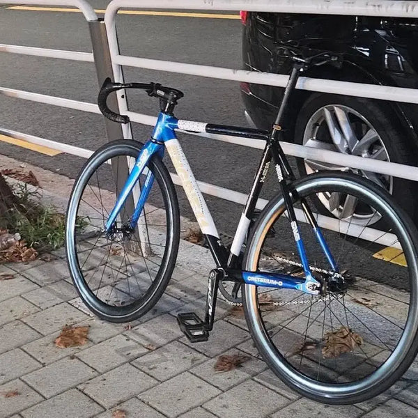 [BUNJANG] Blueskin Full Bike / 블루스킨 완차