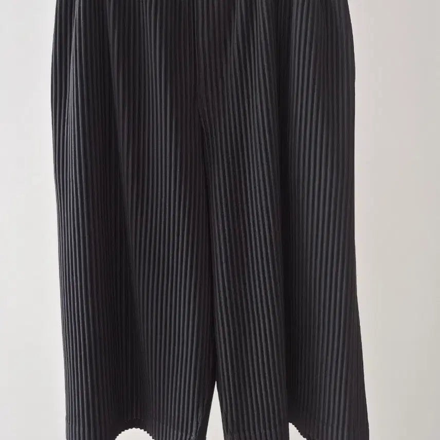 [BUNJANG] Homme Plissé Issey Miyake Basic Pants Size 2 / 이세이미야케 옴므플리세