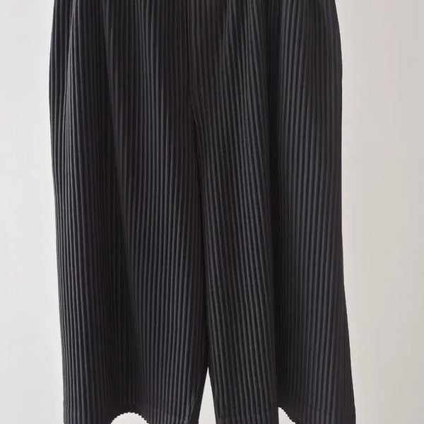 [BUNJANG] Homme Plissé Issey Miyake Basic Pants Size 2 / 이세이미야케 옴므플리세