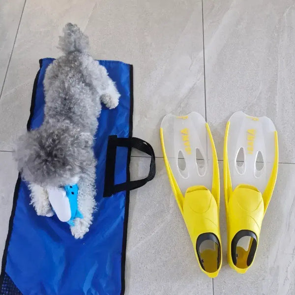 [BUNJANG] Isana Yellow Flippers Size 13 / 이사나 isana 오리발  사이즈 13