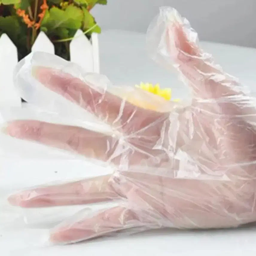 [BUNJANG] Disposable Kitchen Gloves Set - 100 Count / 주방 일회용 장갑 100장 세트