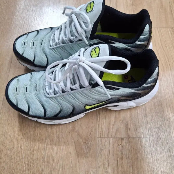 [BUNJANG] Nike Air Max Plus TN Sneakers / 나이키 에어맥스 플러스 TN 운동화 275 [4121]