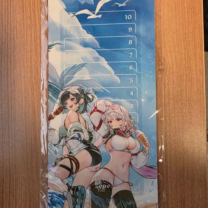 [BUNJANG] Eternal Return Nibel Arena Devi Marlen Level Up Mat / 니벨아레나 이터널리턴 데비마를렌 레벨업매트 판매합니다.