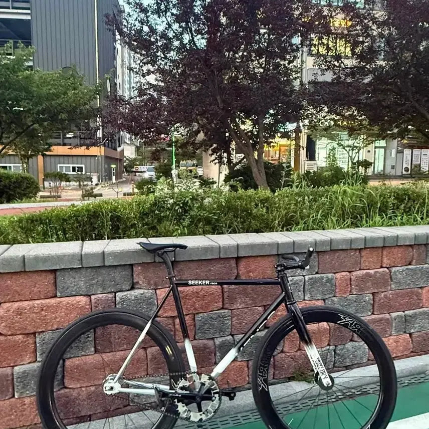 [BUNJANG] Kendo Seeker Lace Frameset - Size M / 켄도 시커 레이스 프레임셋