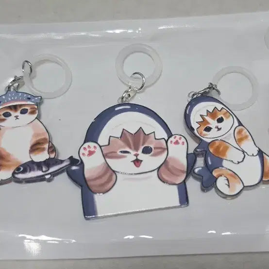 [BUNJANG] Cat Acrylic Charm Keychain / 고양이 아크릴 모프샌드 메지루시 키링