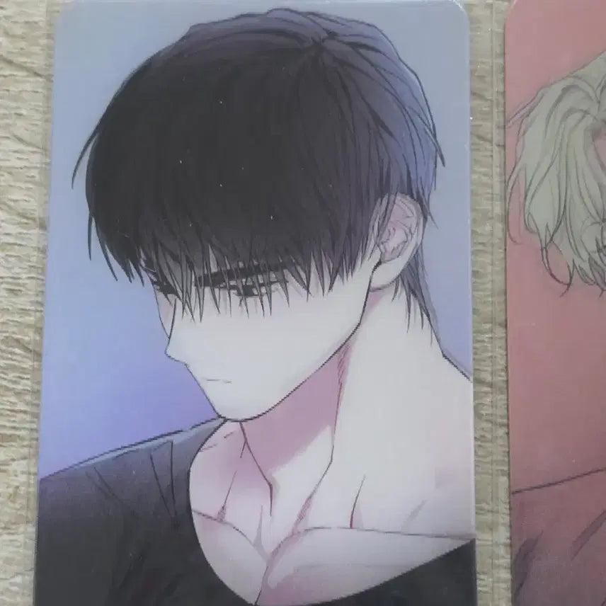 [BUNJANG] Chwibomtoon Hyoun Photocard / 취봄툰 취향이봄툰인데요 포토카드 새구강 새벽구름강 효운