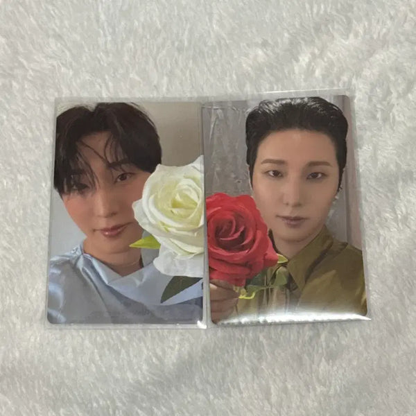 [BUNJANG] Young K (DAY6) Wallet Version Photocard Bundle Set / 영케이 지갑 포카 2장 일괄 양도 / youngk day6 yougest