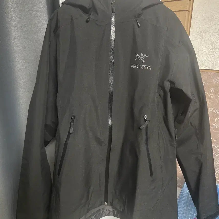 [BUNJANG] Arc'teryx Beta LT Jacket (L) - Mint Condition / S급중고 아크테릭스 베타LT L사이즈 바람막이 팝니다.