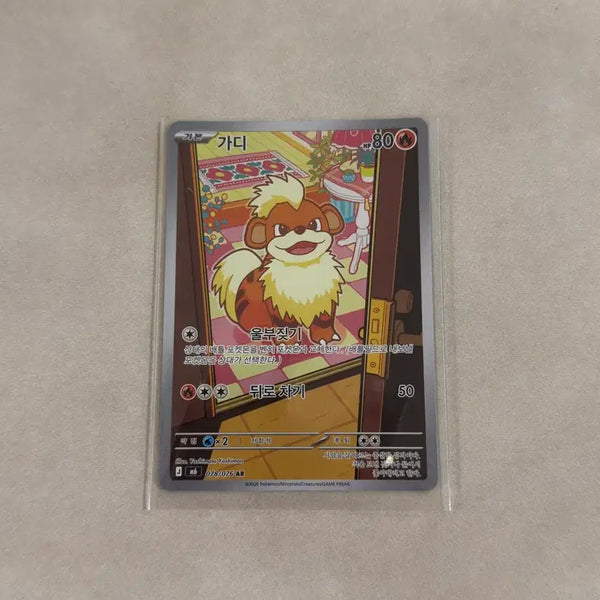 [BUNJANG] Pokemon Card Guardian AR / (한판) 포켓몬카드 가디 AR